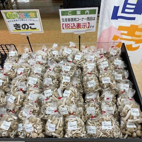 きのこ類