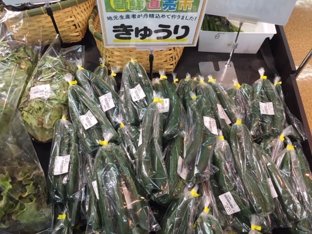 きゅうり_iida