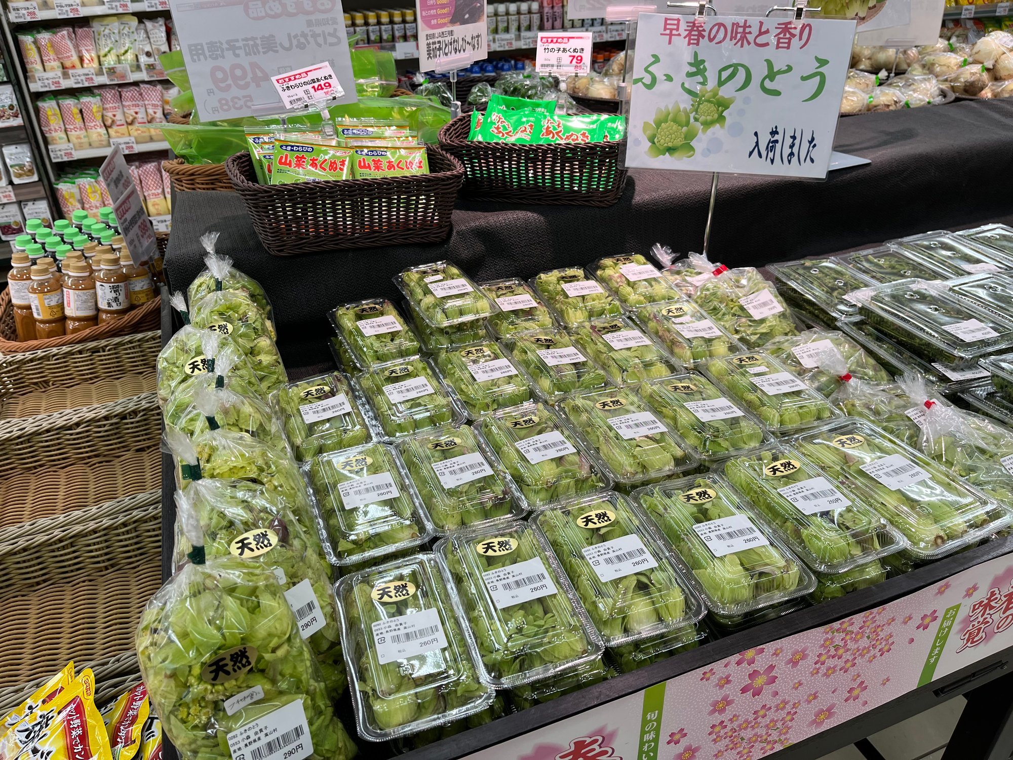 ふきのとう _sukou
