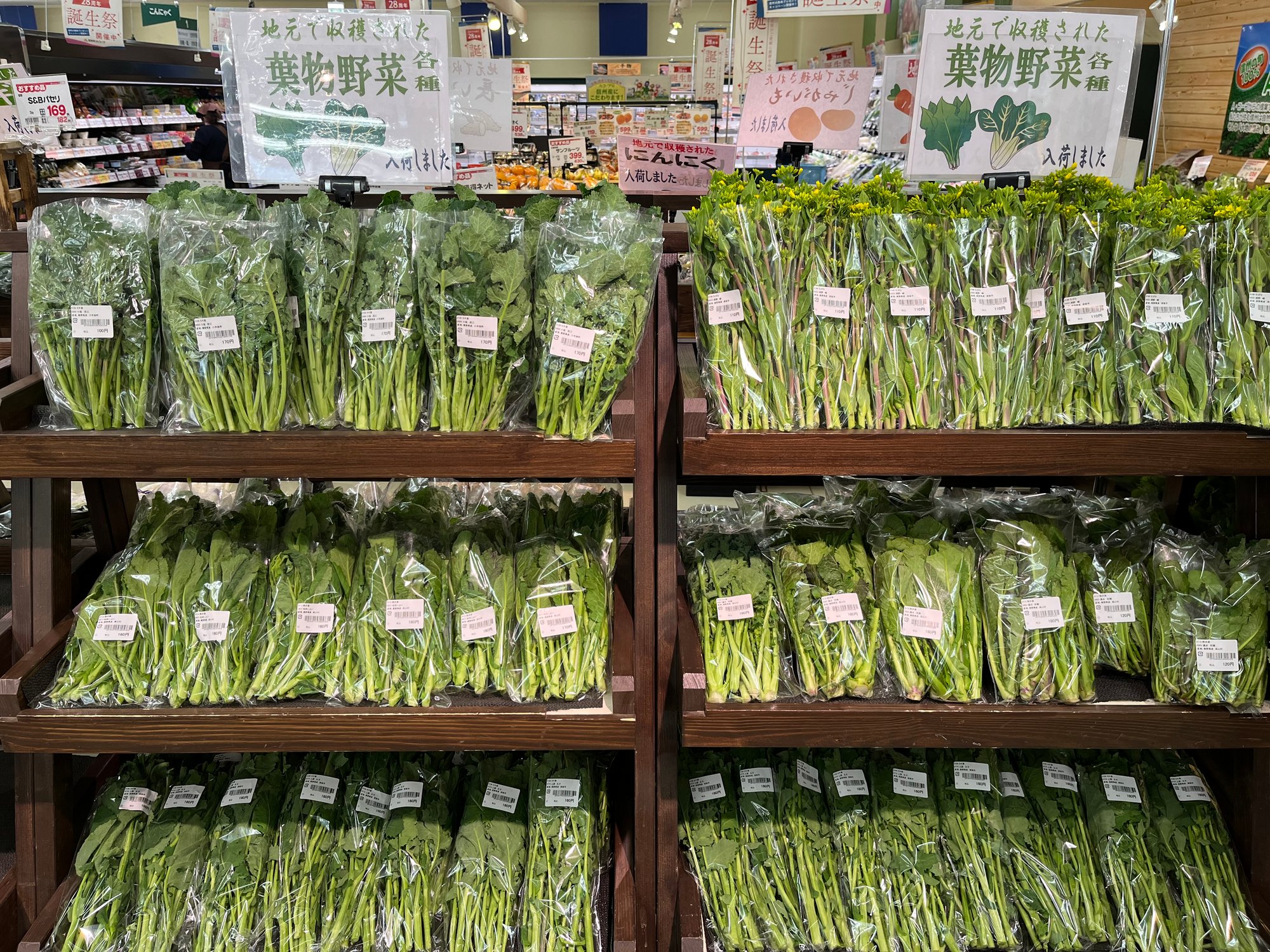 ほうれん草_sukou