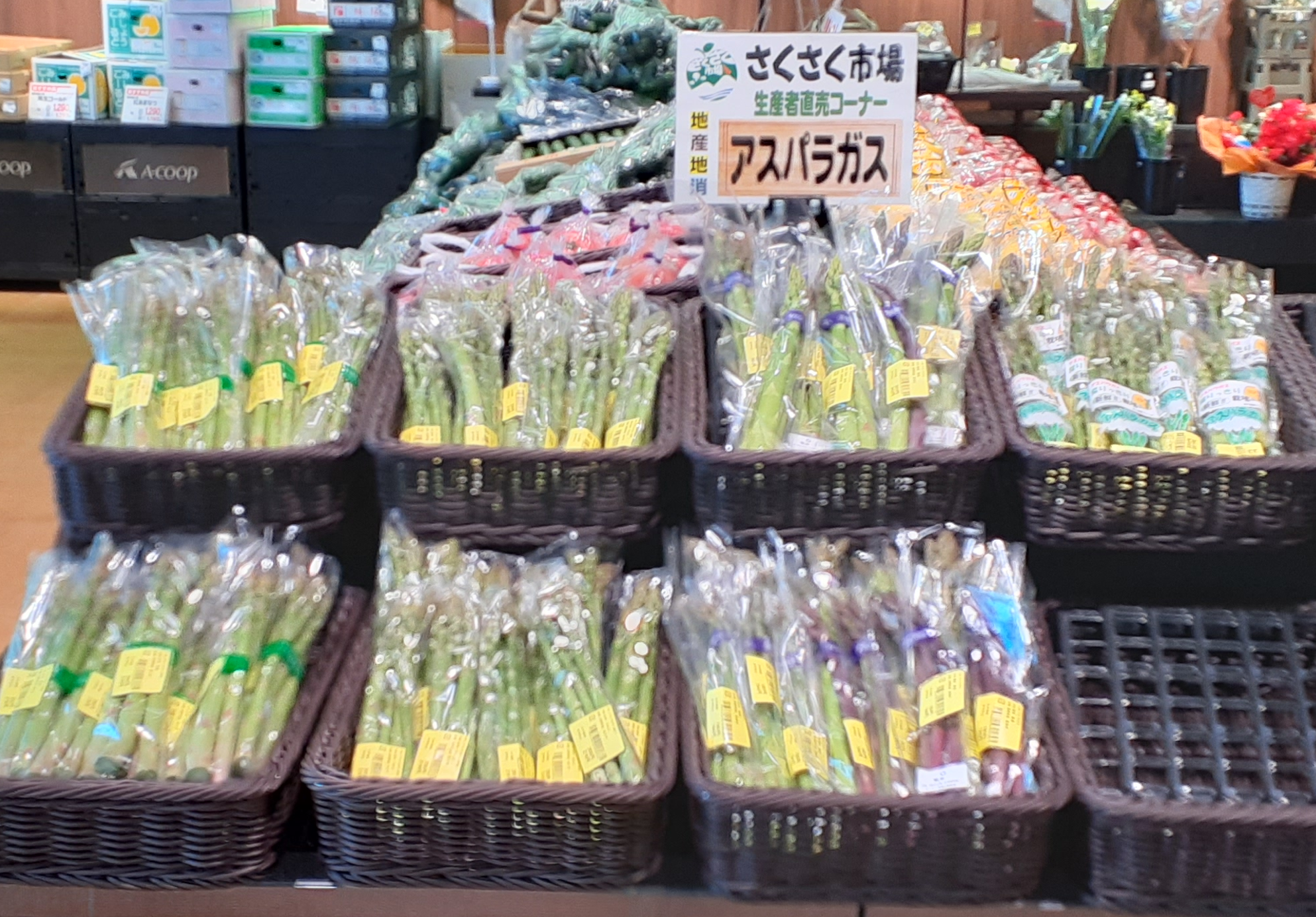 アスパラ(23.05.04)