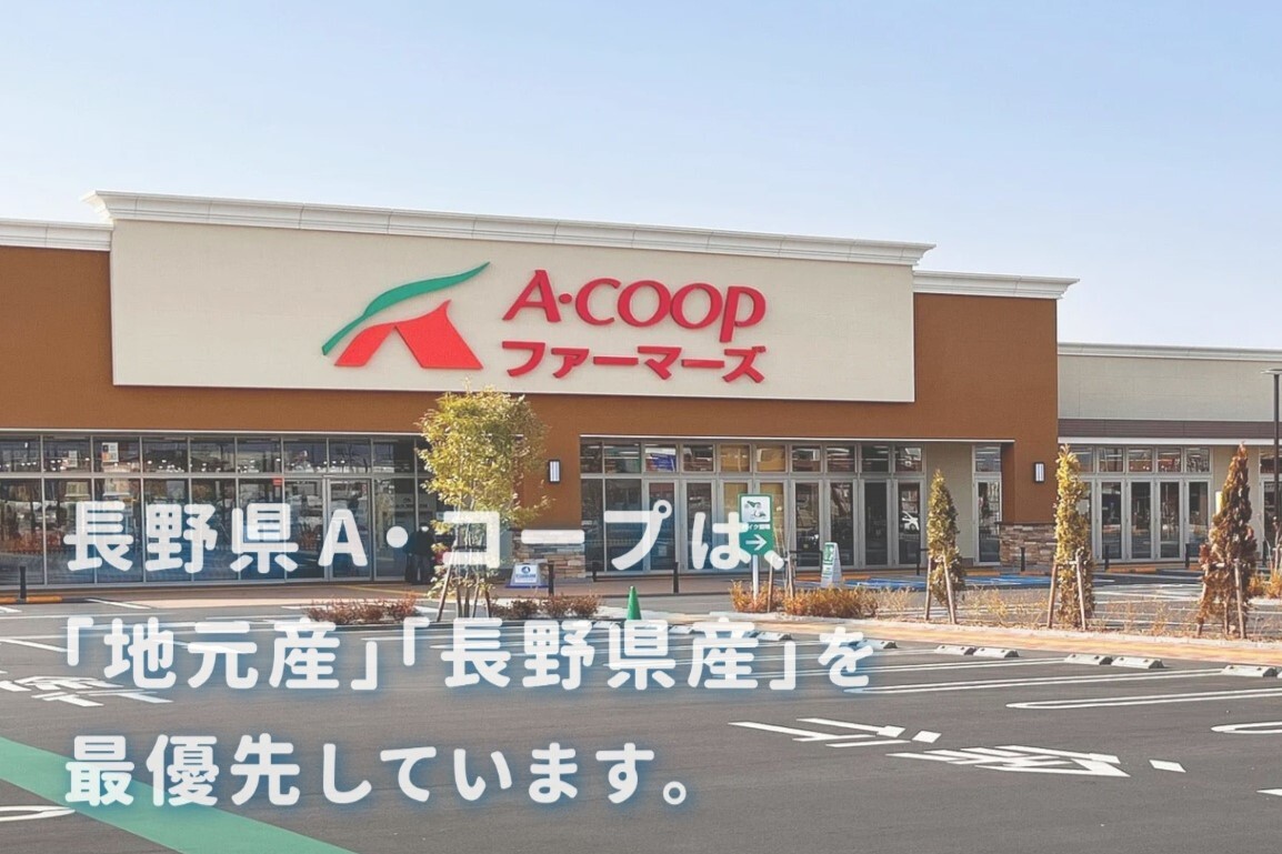 採用情報_新卒募集要項(仮)
