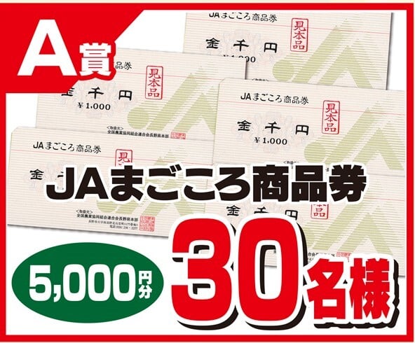 新春運試しプレゼントキャンペーン1