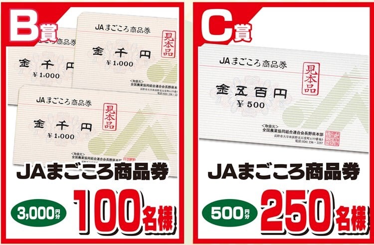 新春運試しプレゼントキャンペーン2