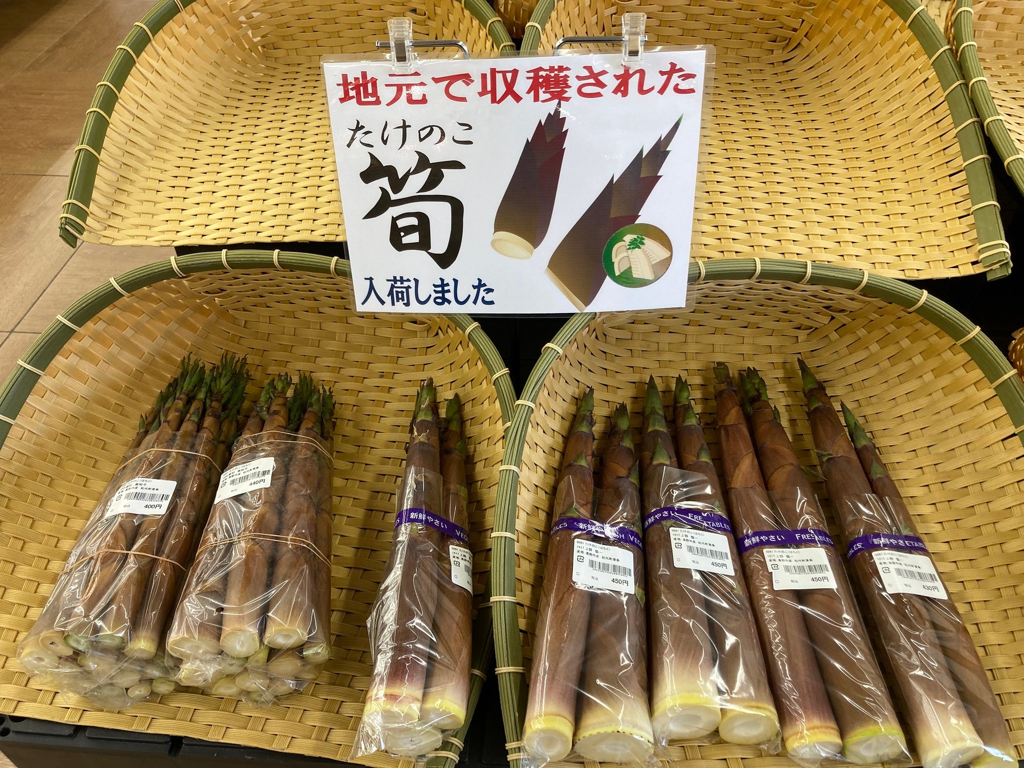 竹の子