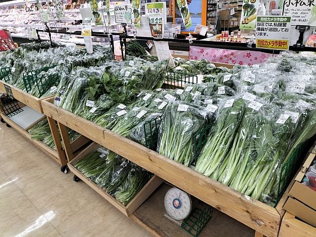 葉物類 (1)