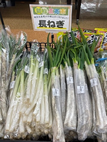 長ねぎ