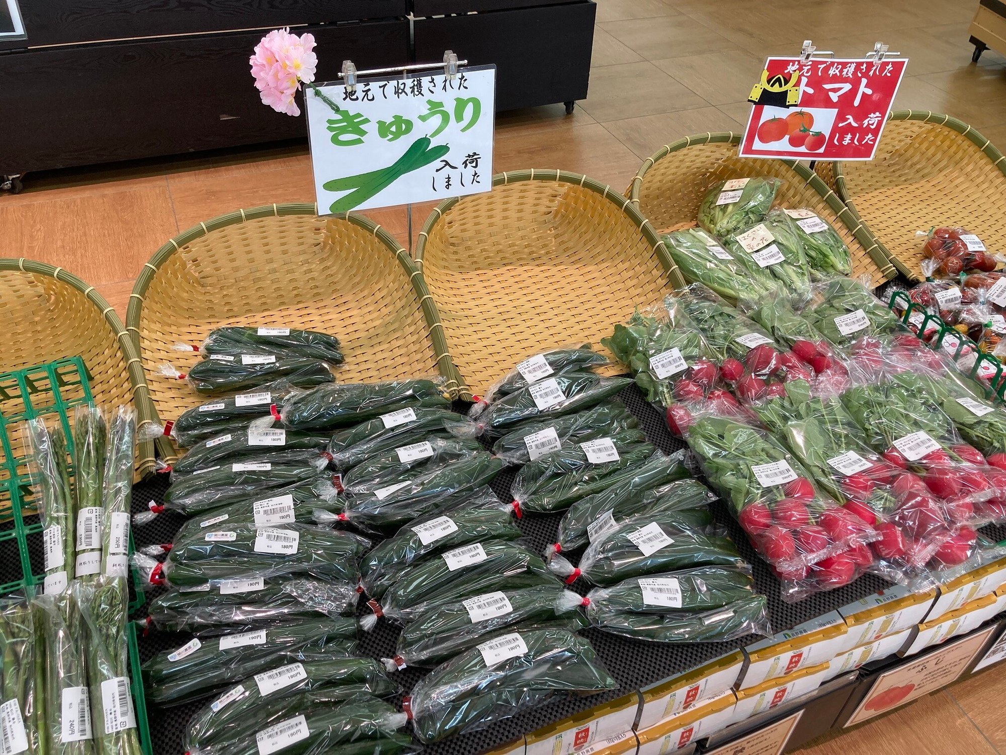 (F松代)きゅうり-2