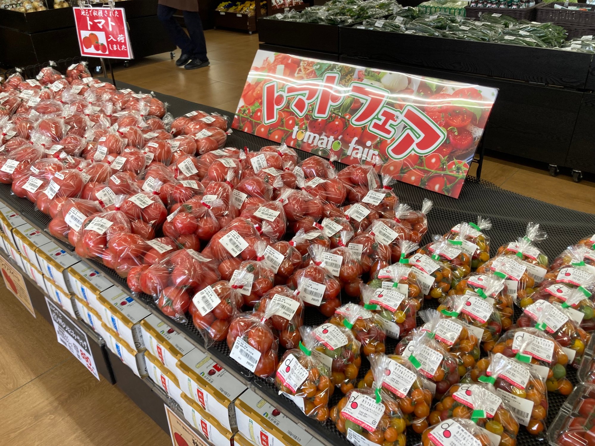 (F松代)トマト-1
