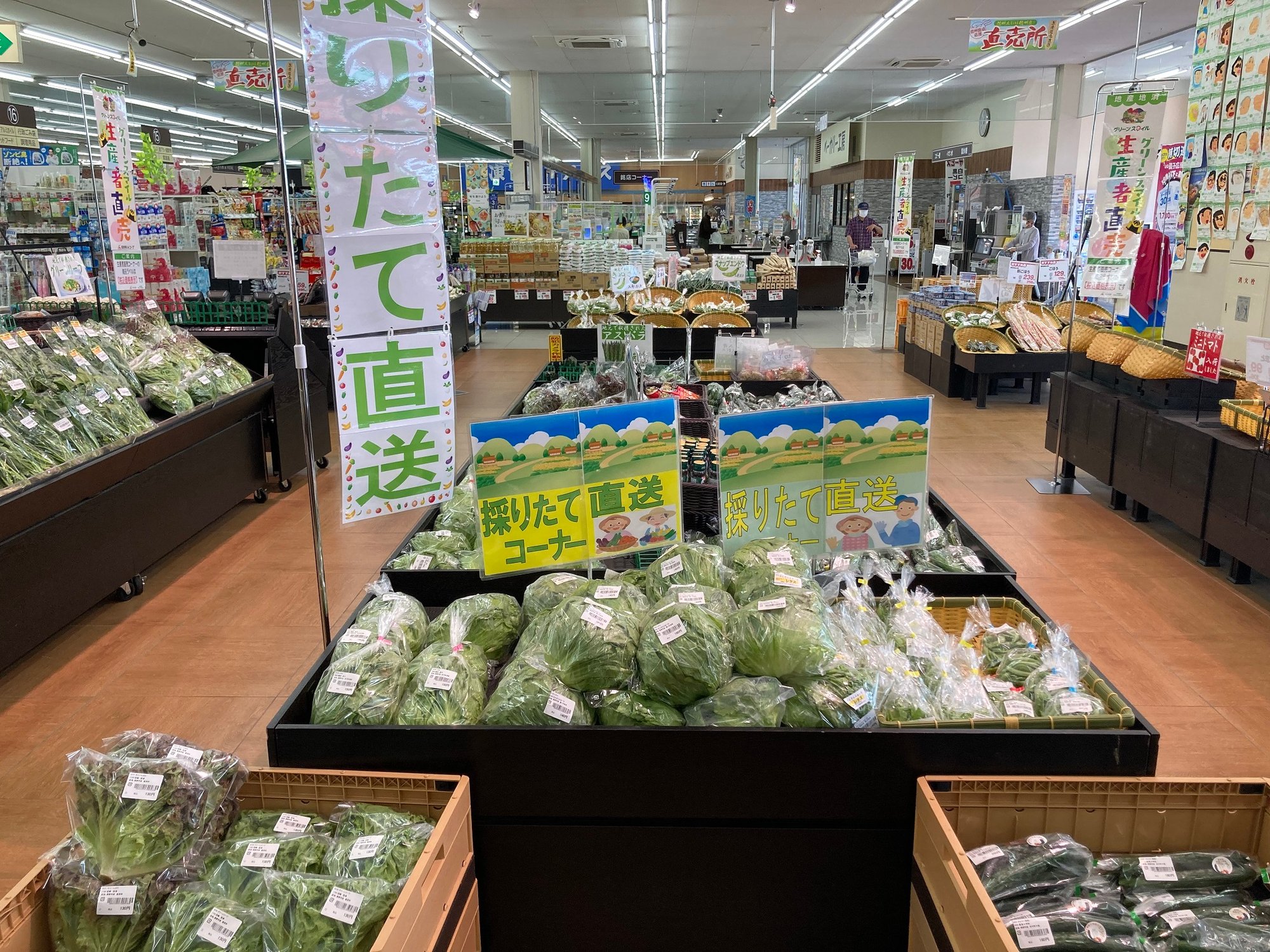 (F松代)採りたて直送