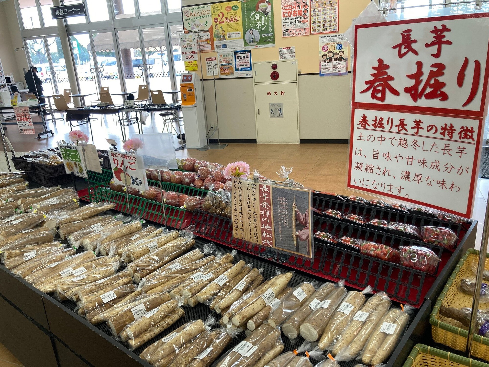 (F松代)長芋