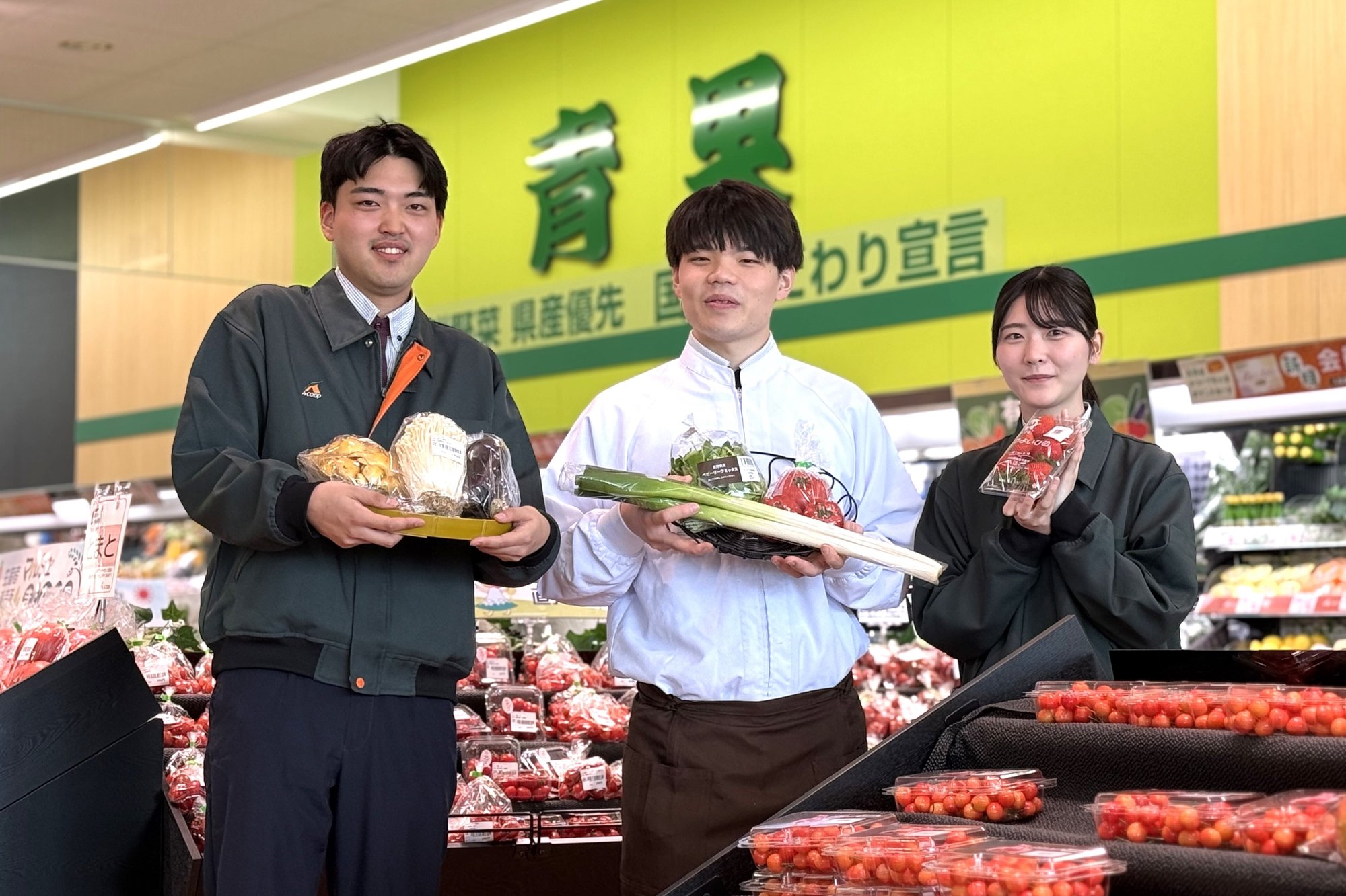 003.新卒採用募集要項Top_01