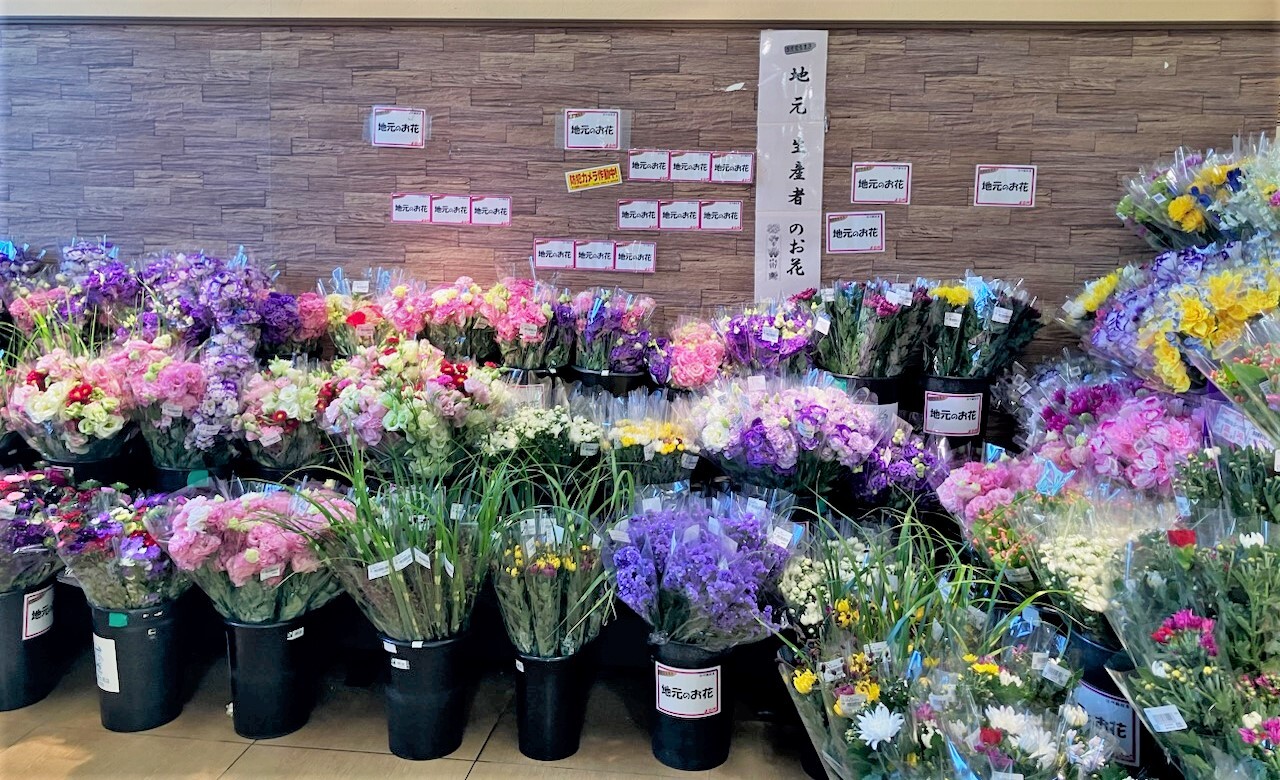 8/11(月)・12(火) A・コープのお花市 | お知らせ | 長野県A・コープ