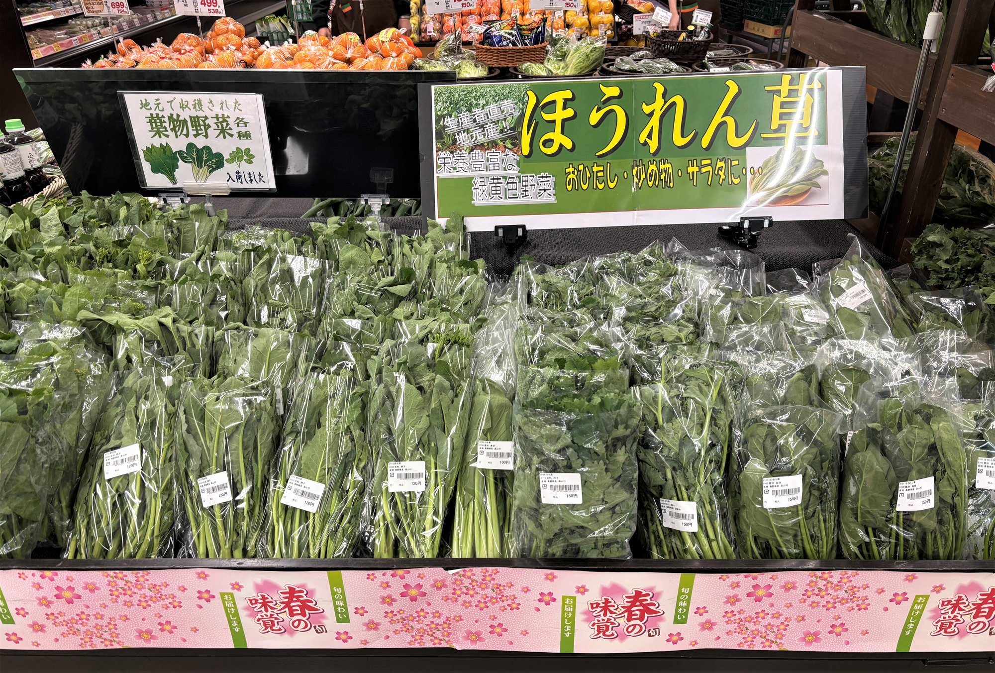 2_sukou-2
