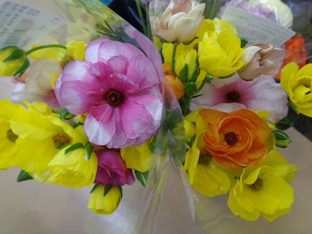 3.花_misuzu-1