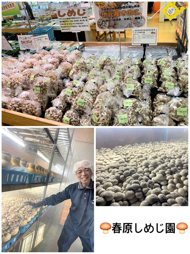 【入荷情報】秋の味覚続々入荷中！🍇🍐🍎🍄🍠 | 畑とつながるA・コープ | 長野県A・コープ