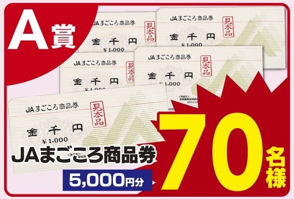 AC30周年誕生祭 プレゼントキャンペーンA