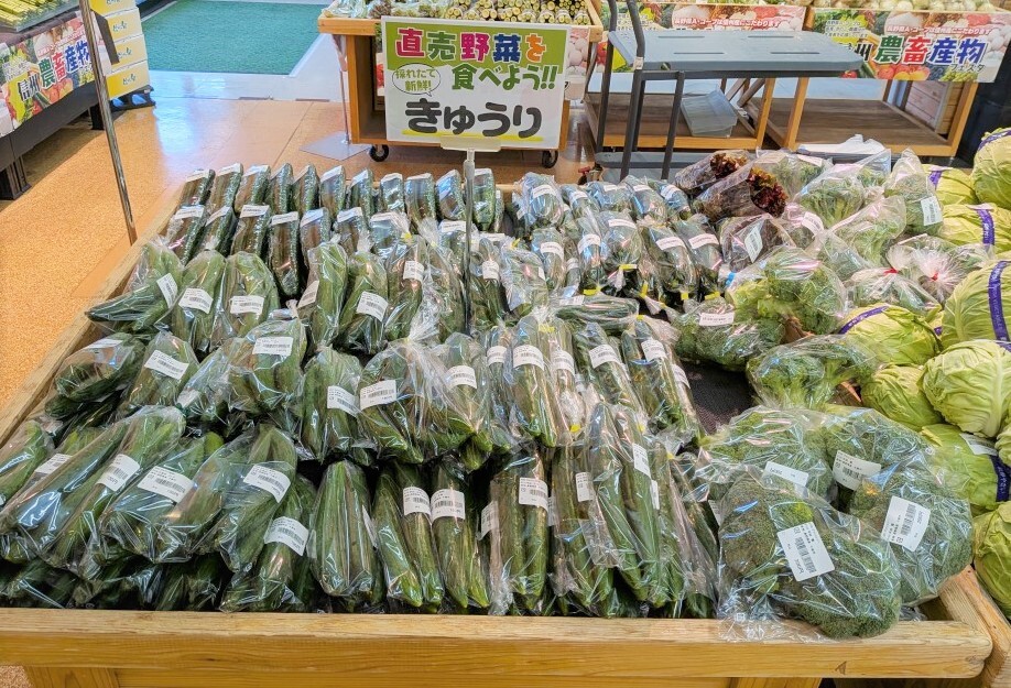 入荷情報】地元産のきゅうり大量入荷中！新たまねぎ入荷始まりました