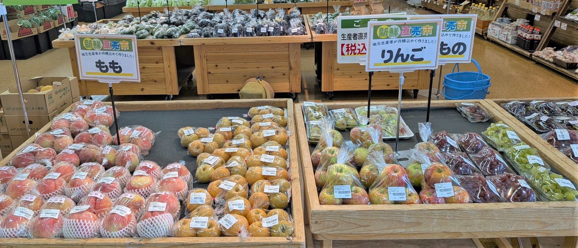 入荷情報】あんず店直売コーナー、夏野菜大量入荷中！もも、ぶどう入荷
