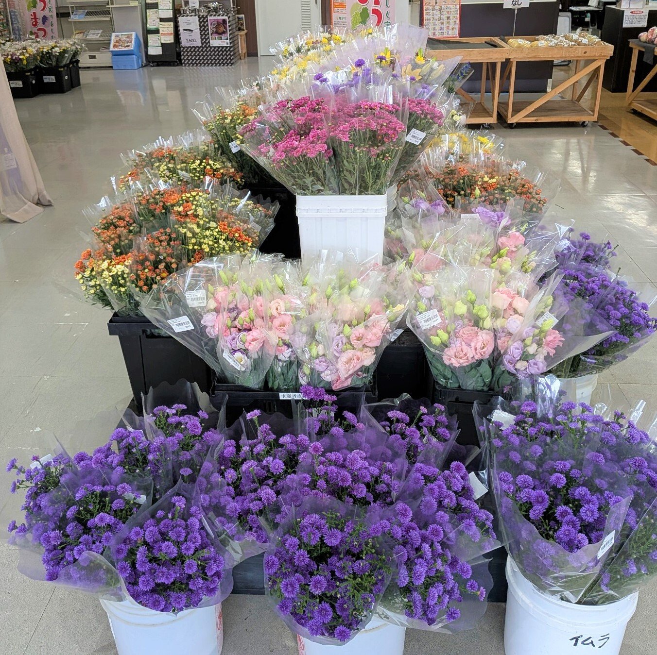 anzu_9-3
