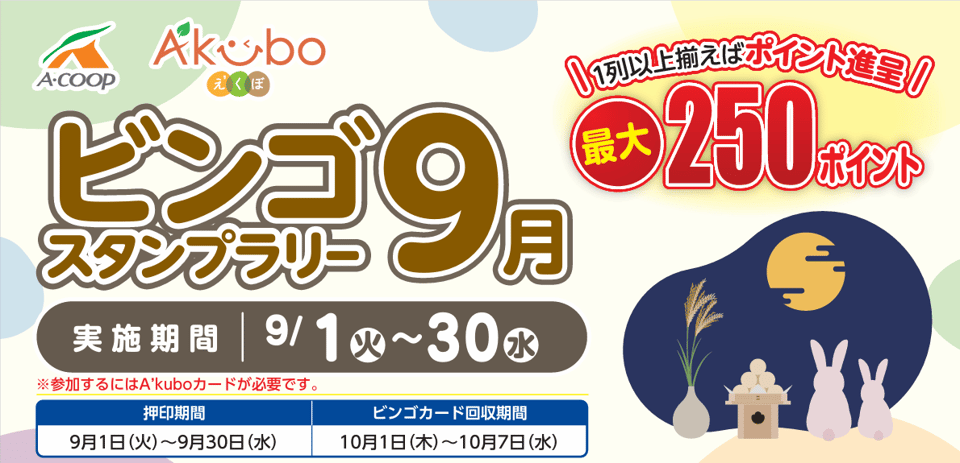bingo_26.9
