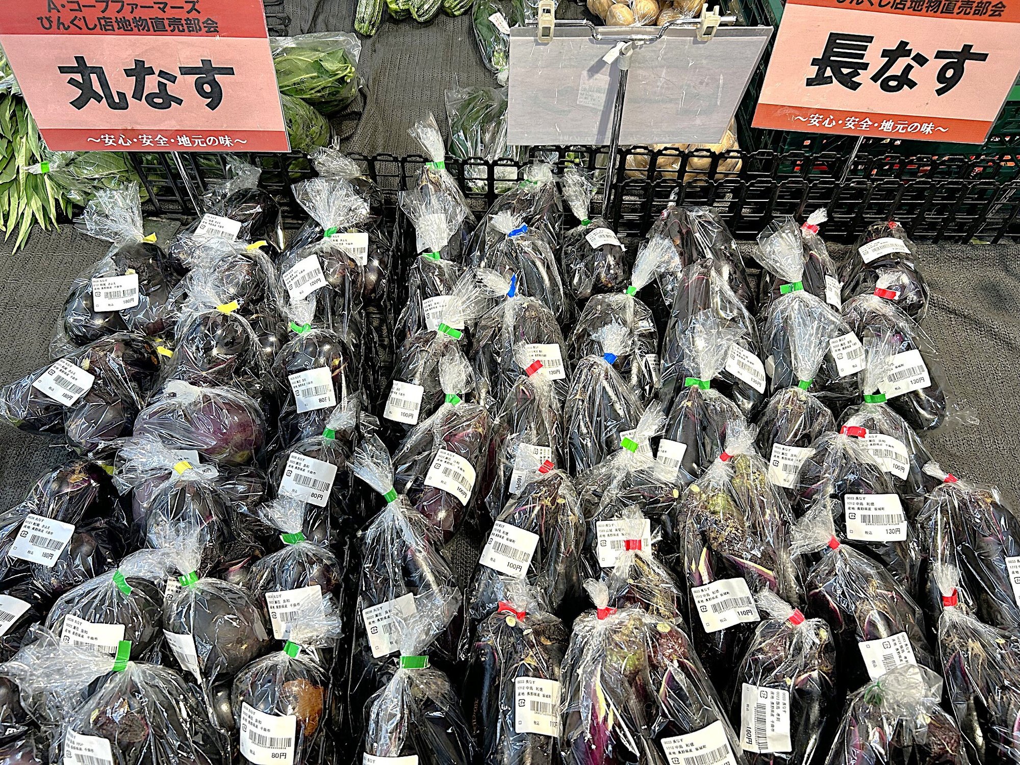 bingushi_26.8-2
