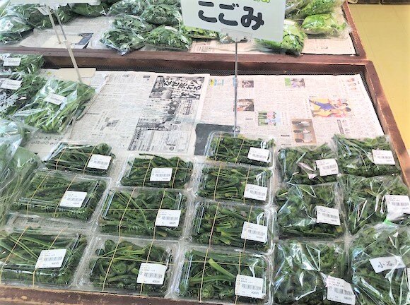 中山こはく まとめ売り こんにちは☀ グリンセンター三好店です 本日、こごみ・たけのこ