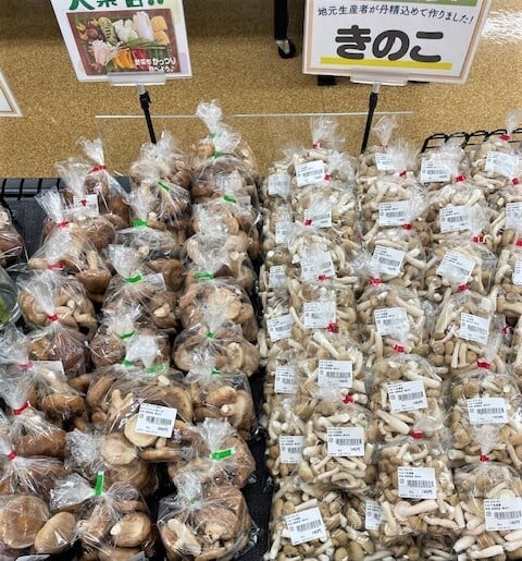 iida_9-2