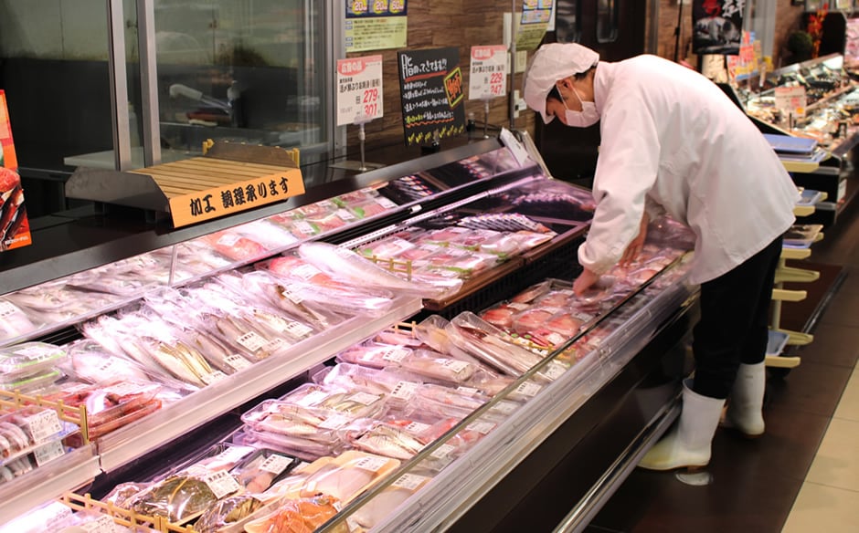 fish_flow04