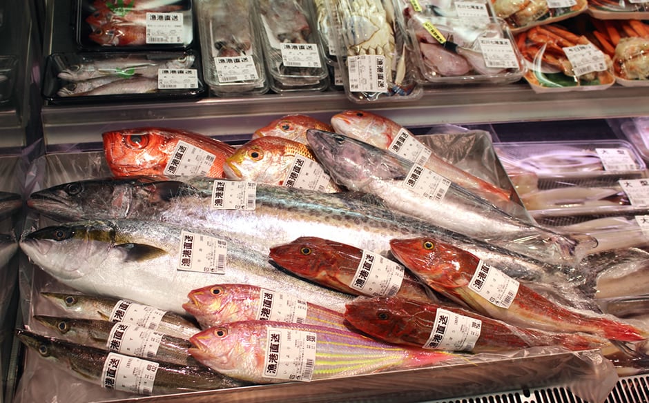 fish_flow05