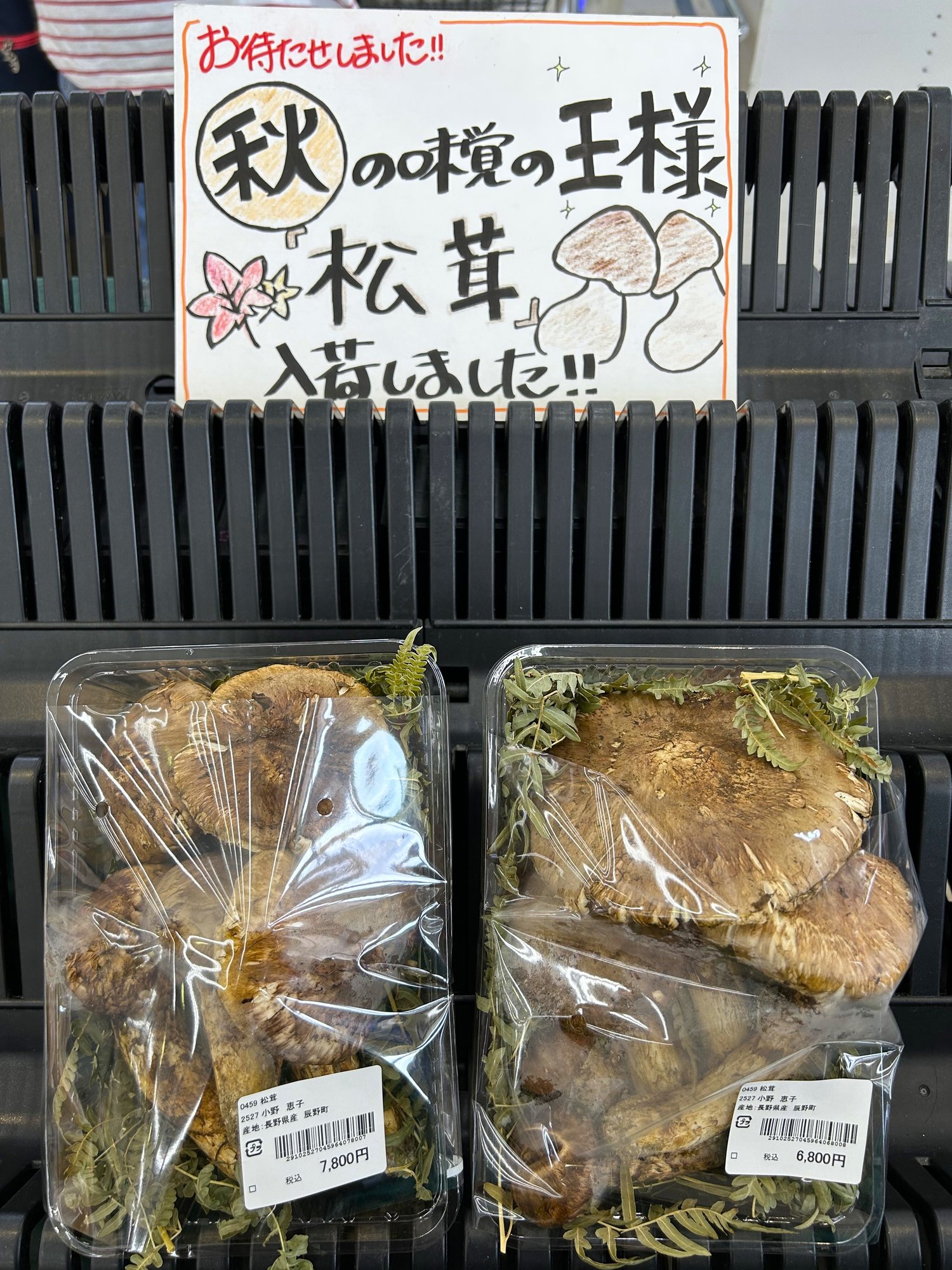 inachuou_26.9-1