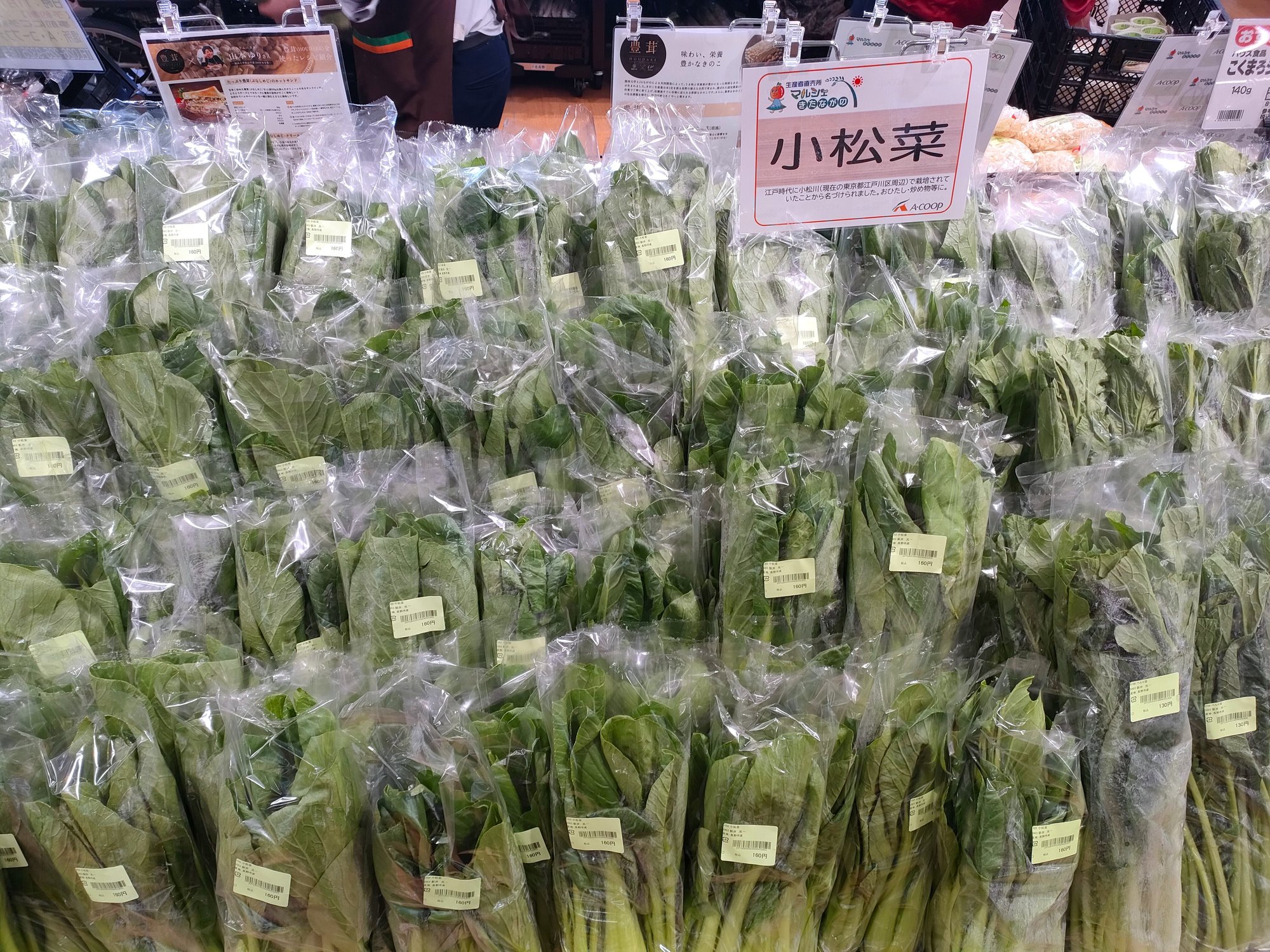 kitanagano_26.10-2
