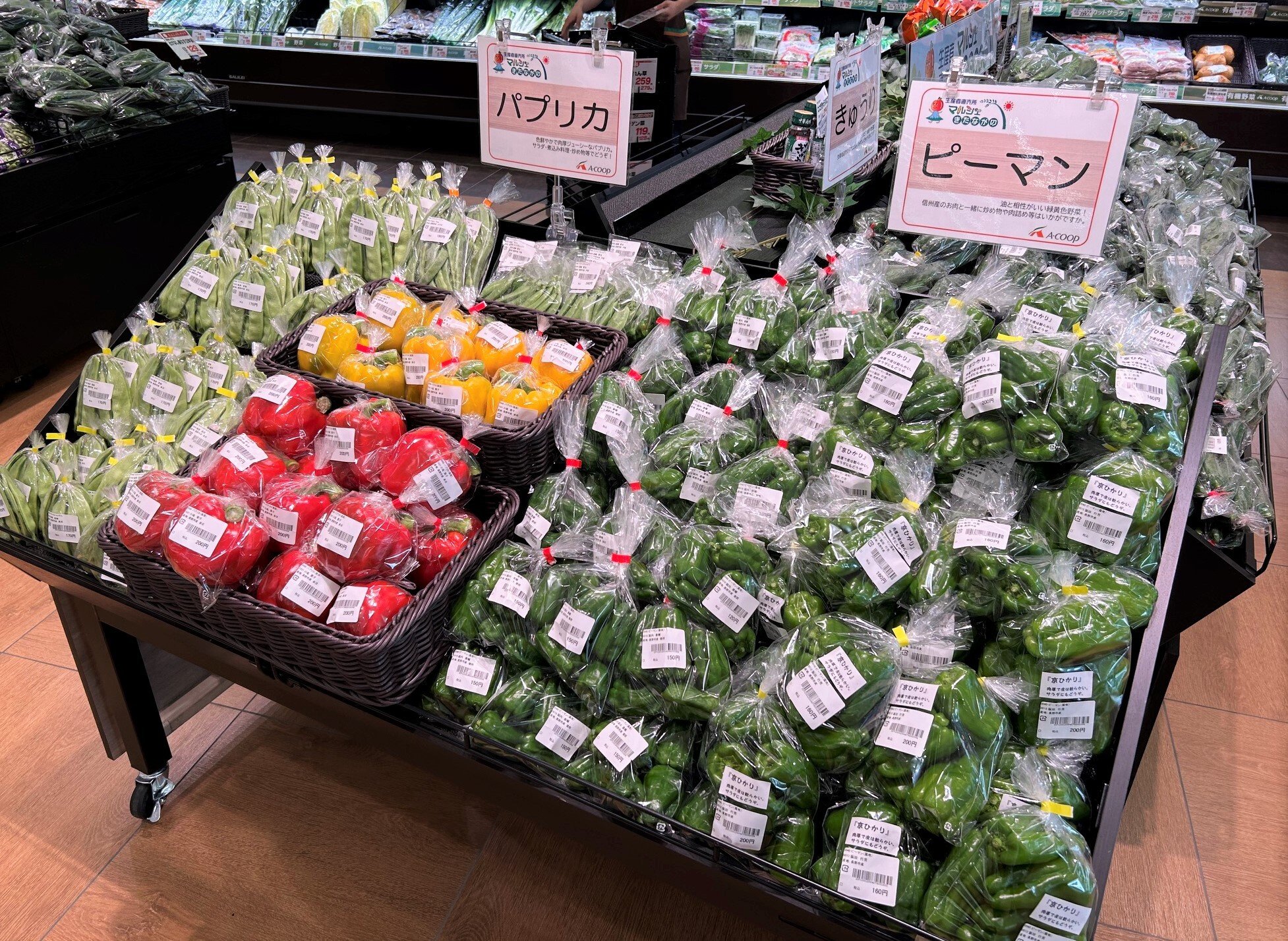 kitanagano_26.7-2
