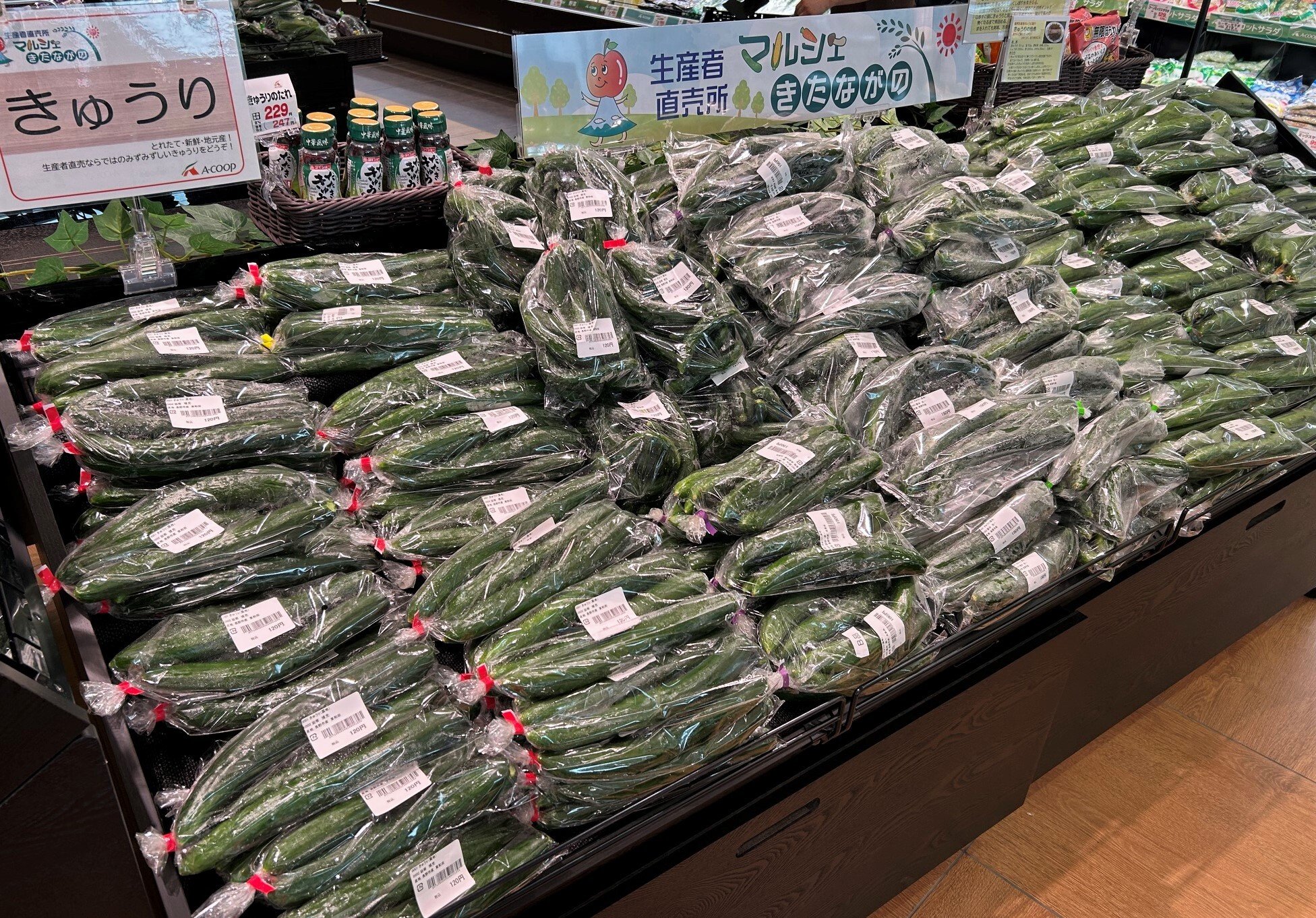 kitanagano_26.7-3