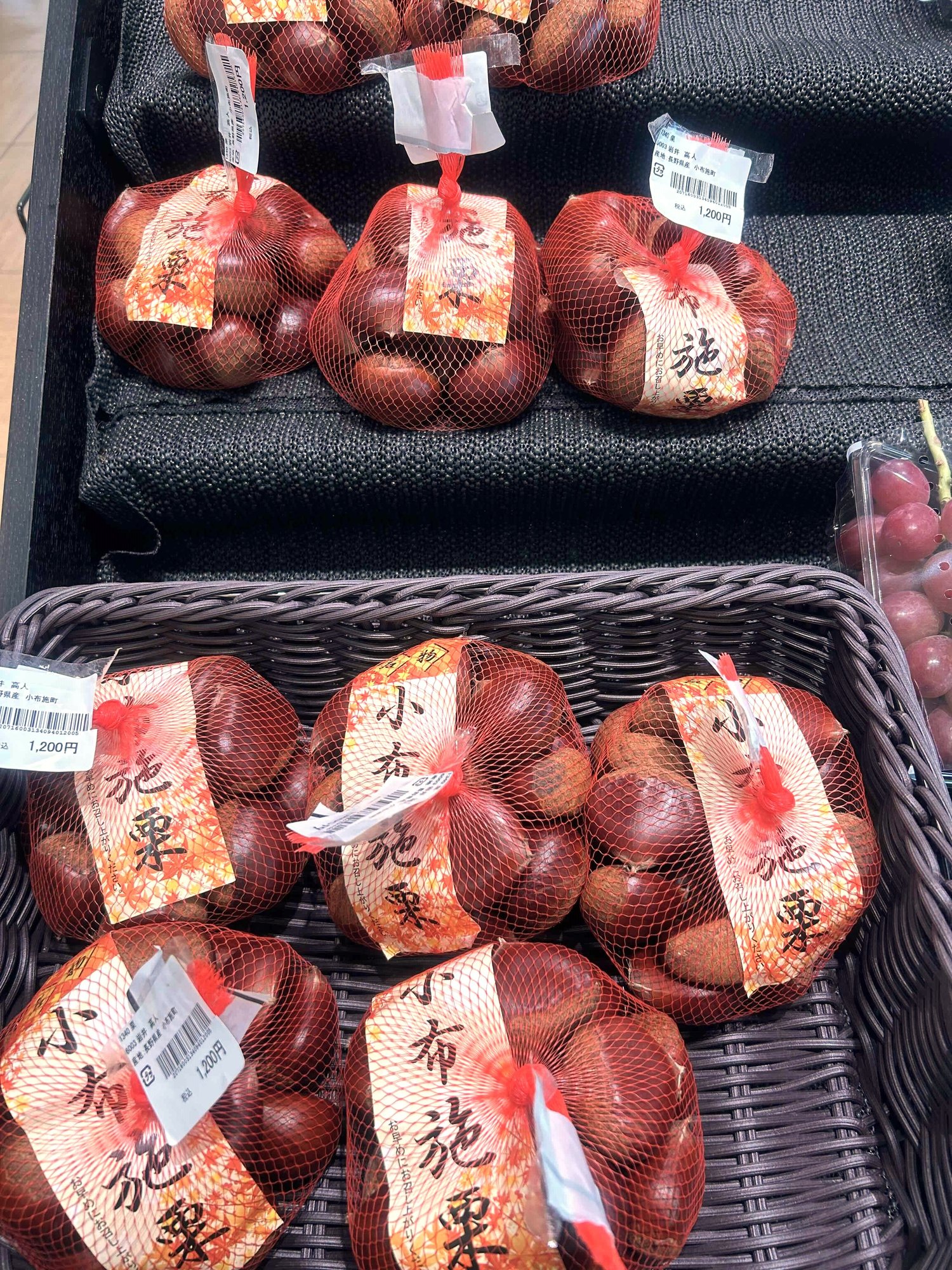 kitanagano_26.9-2