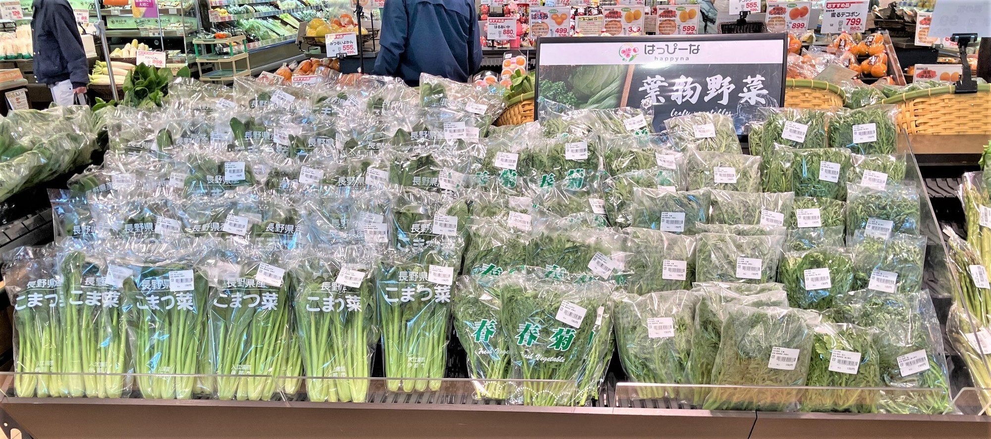 komagane1-2