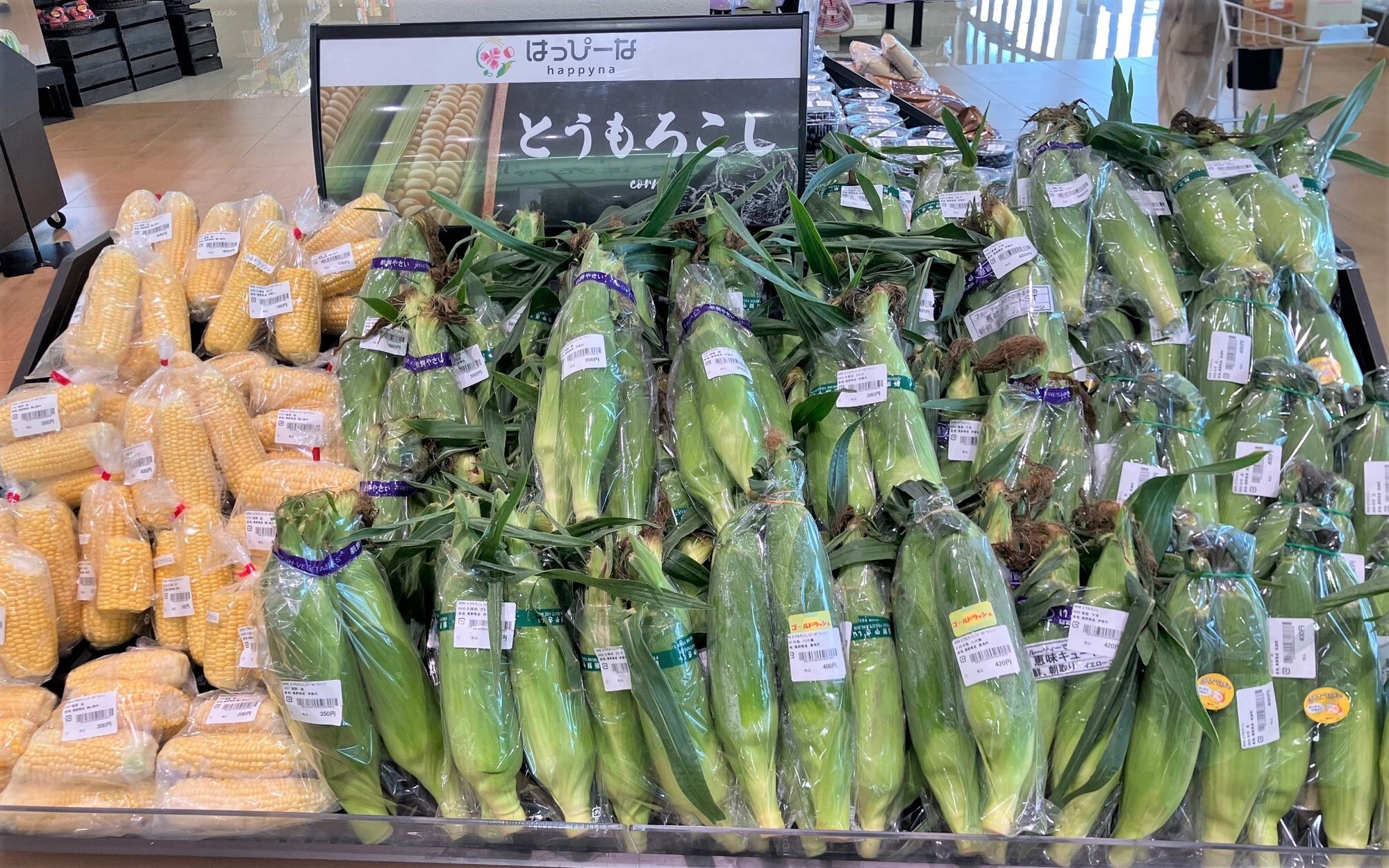 komagane_7-2