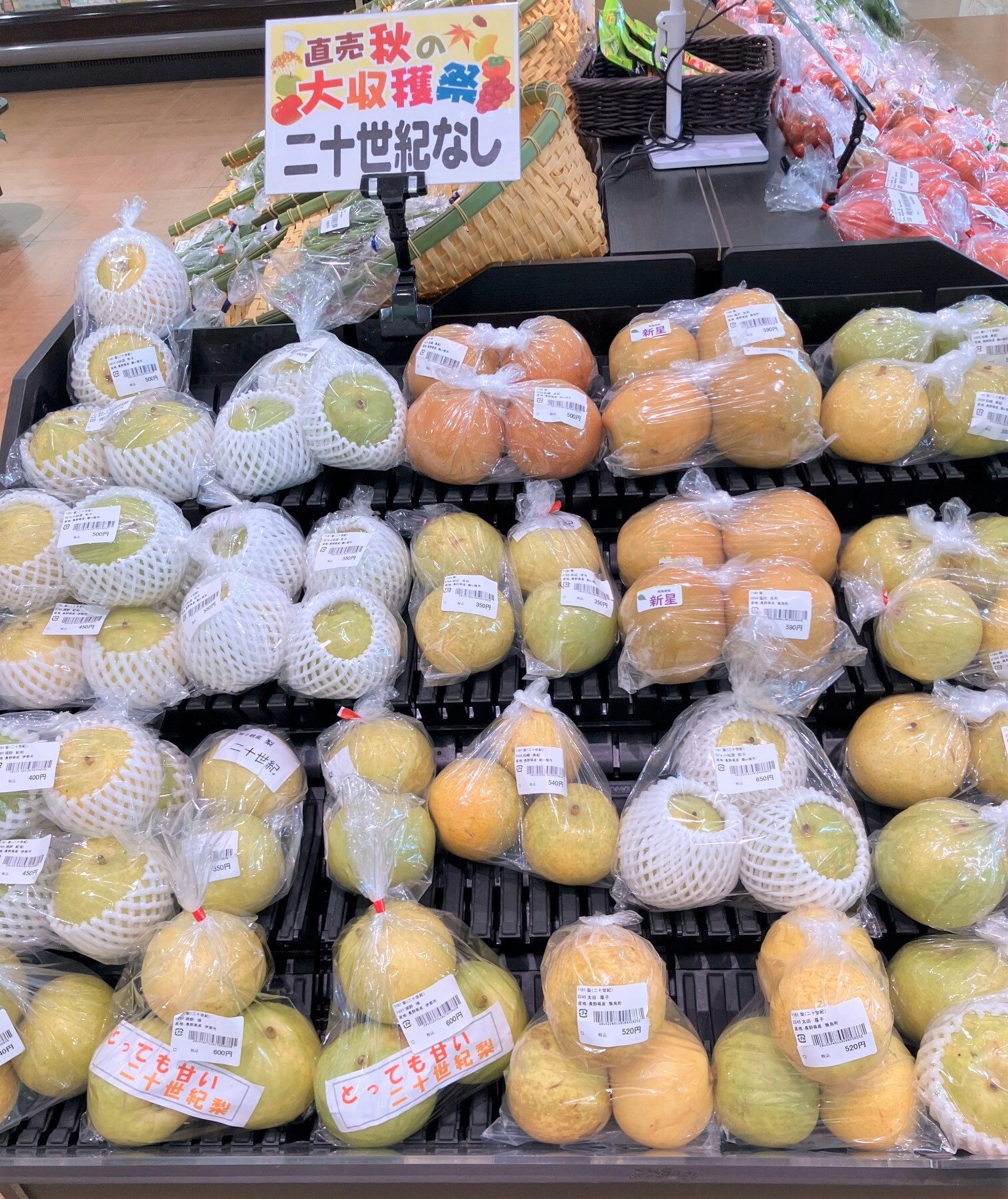 komagane_9-1