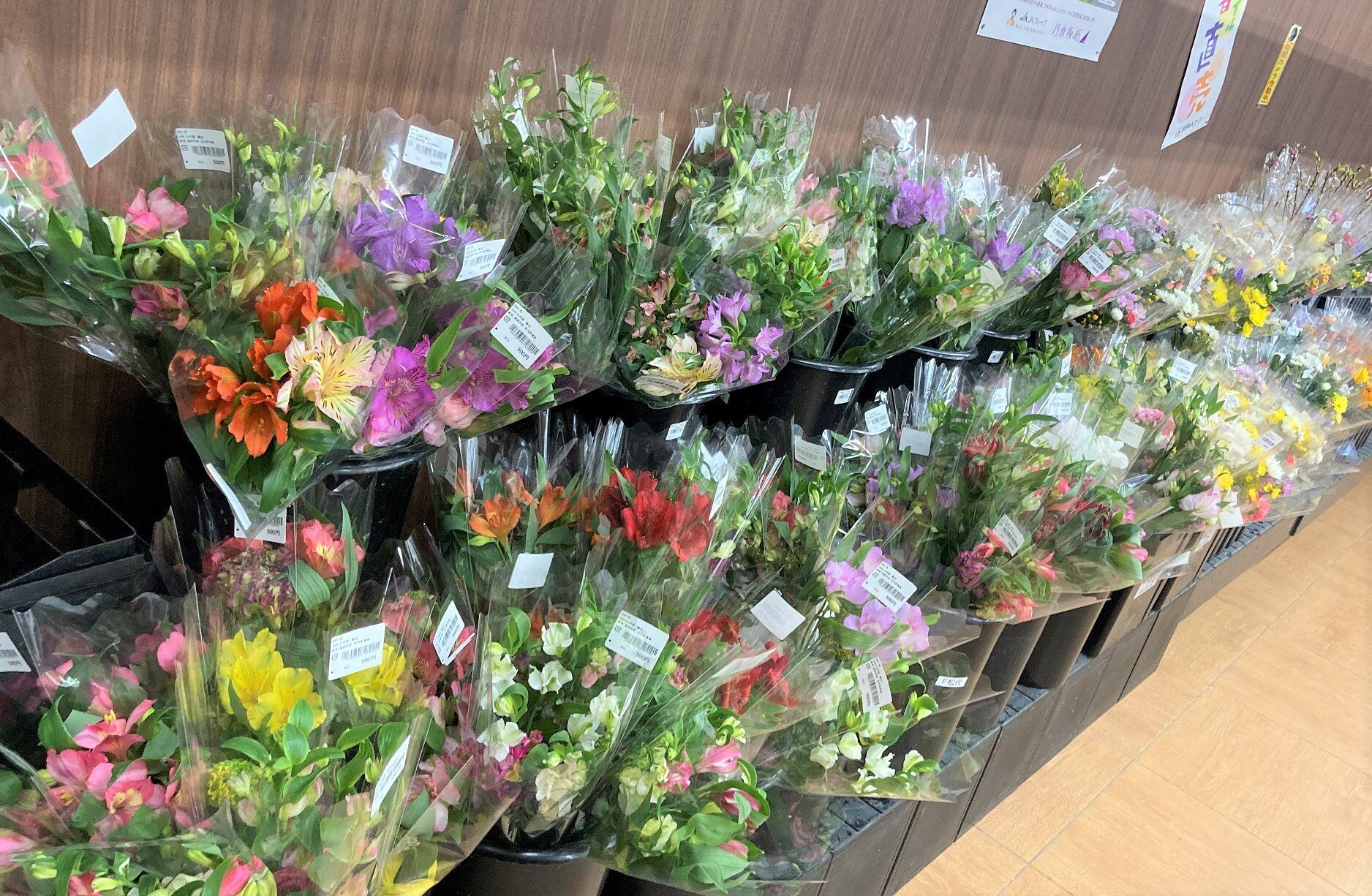 matusiro_event-1