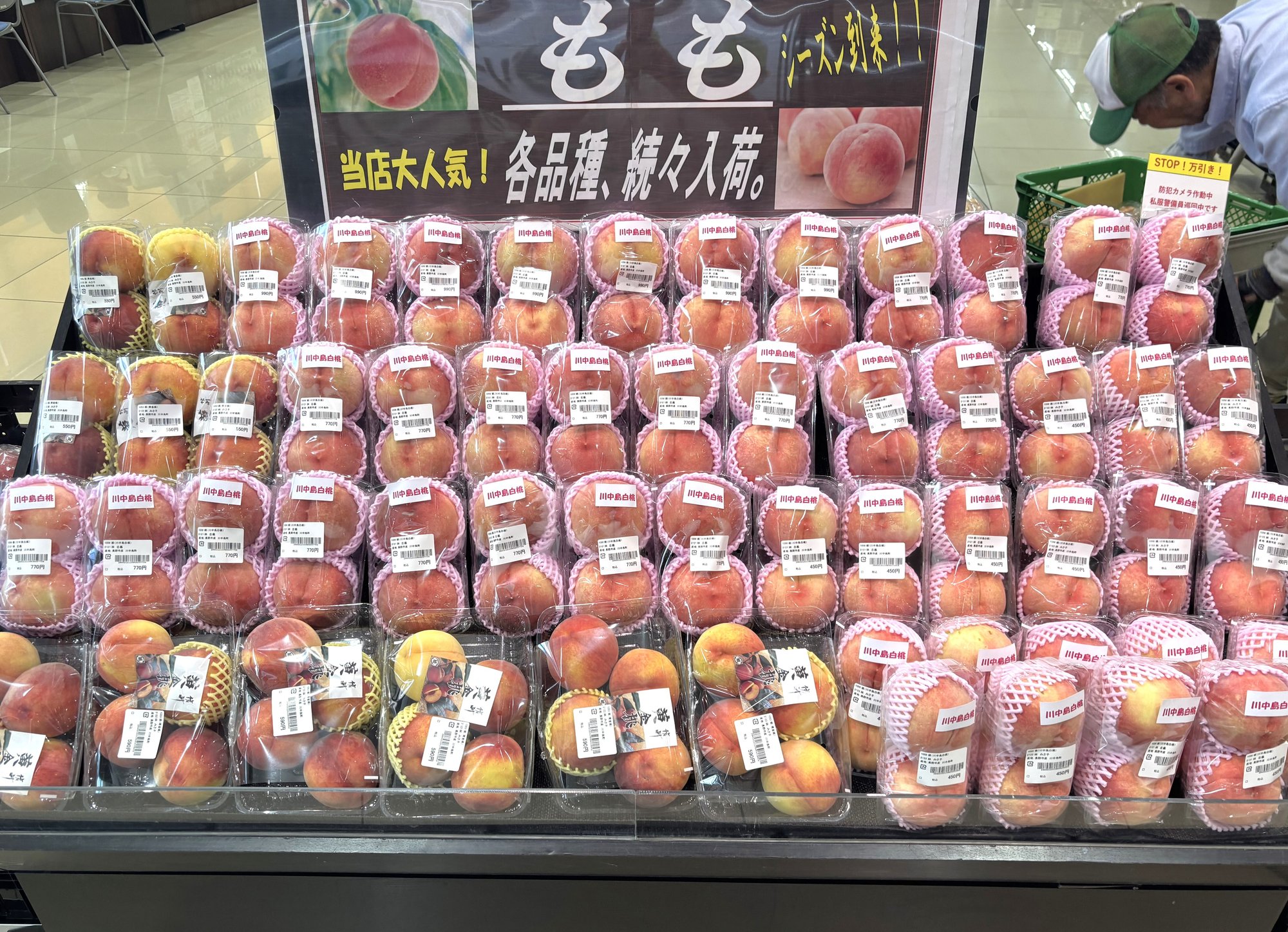 minami-26.8-1