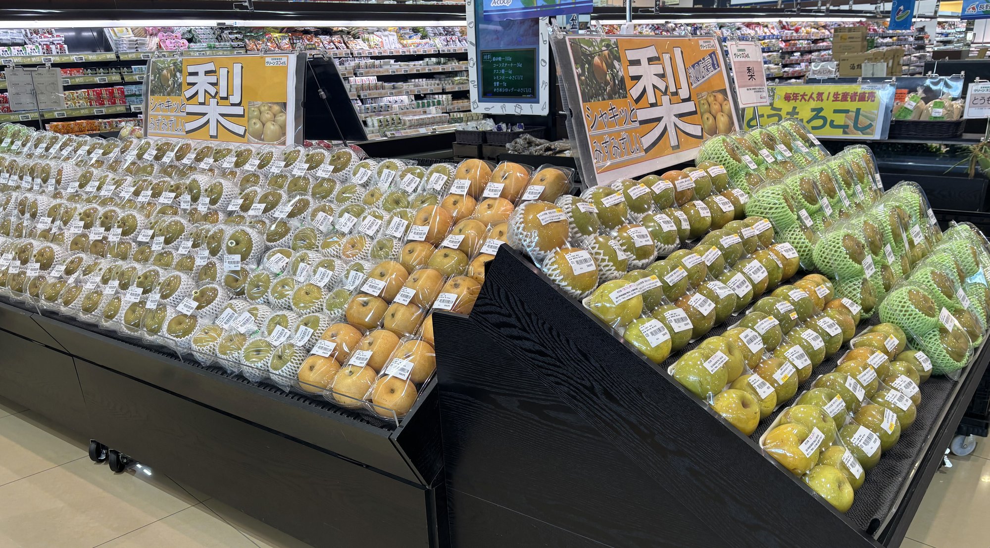 minami-26.8-2