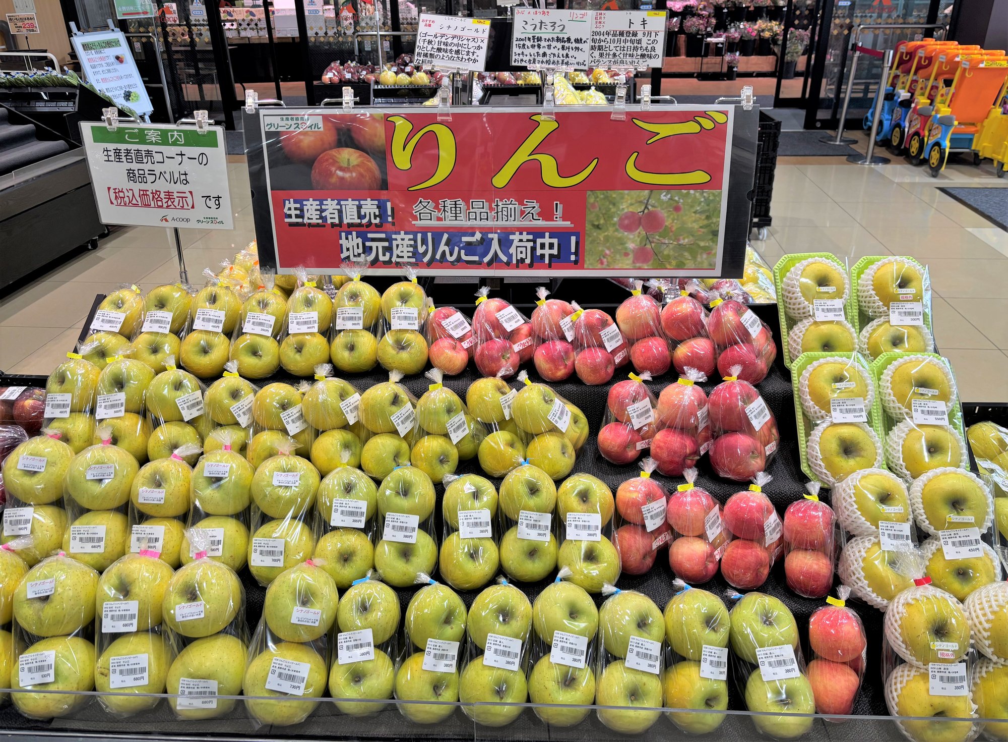 minami_10-1-1
