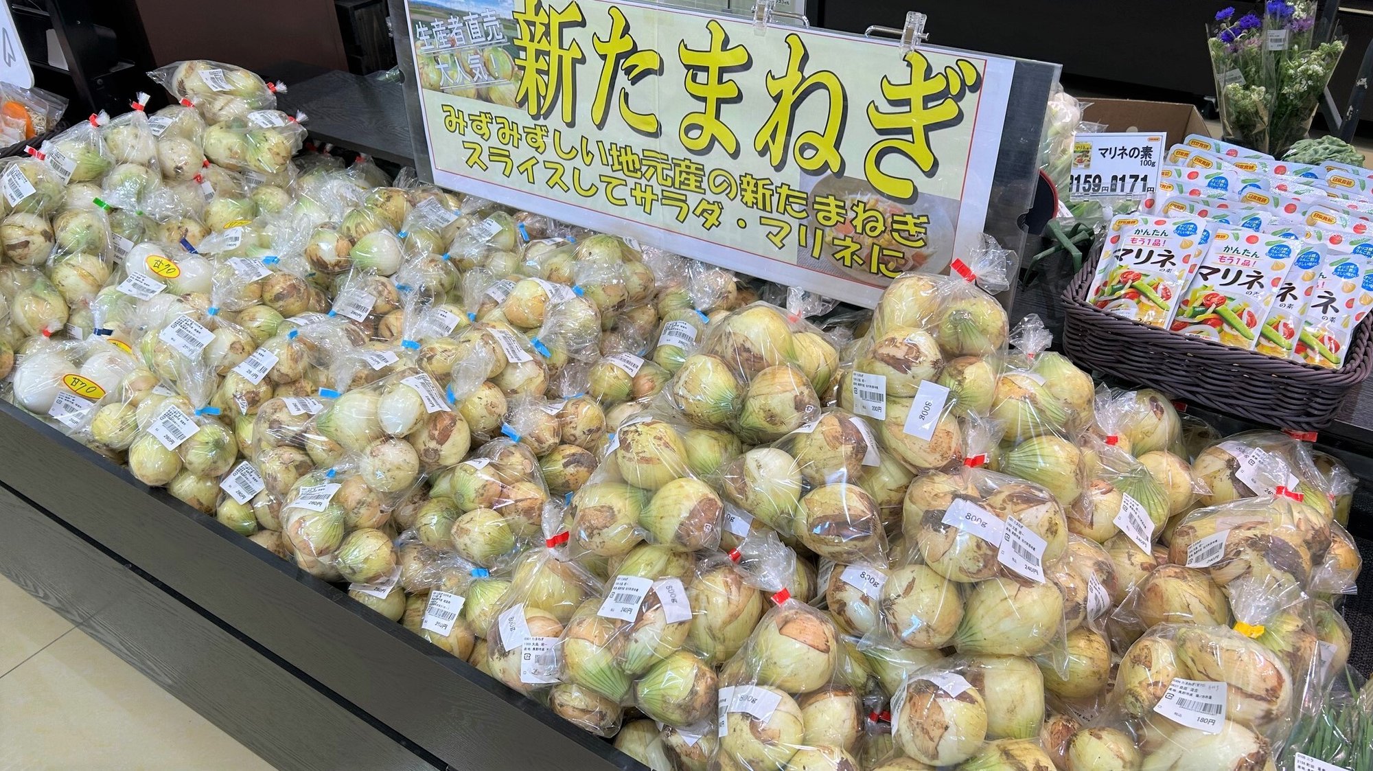 minami_5-1