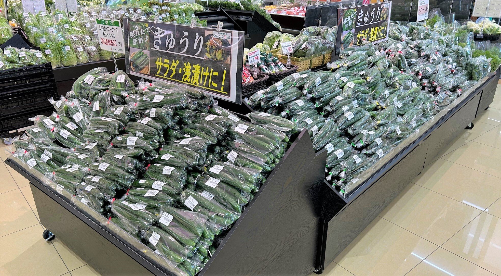 minami_5-2