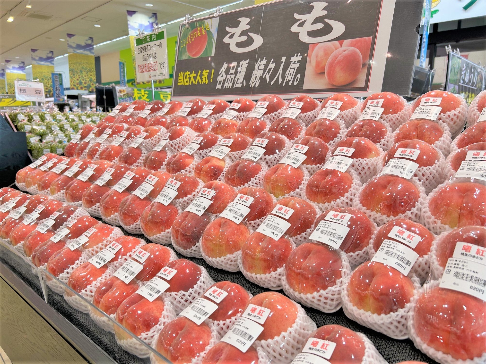 minami_8-1