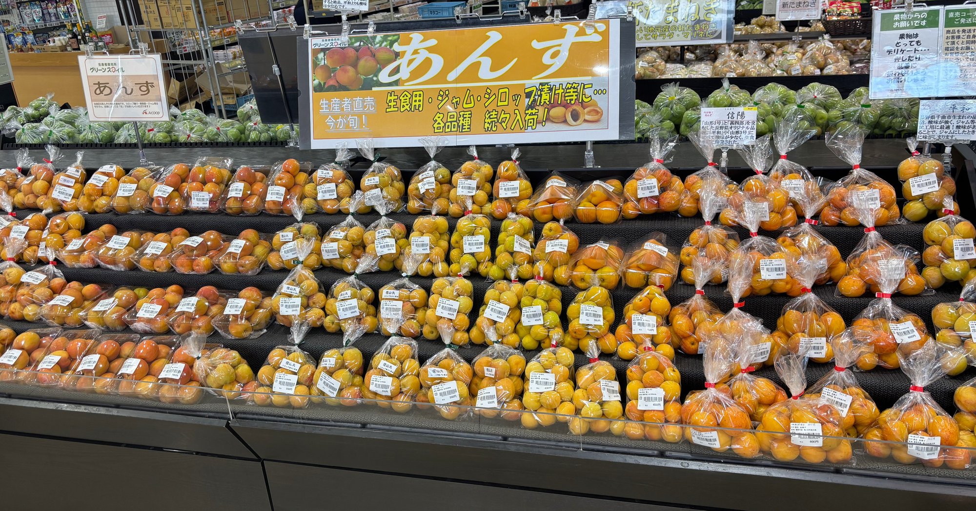 minaminagano_26.6-2