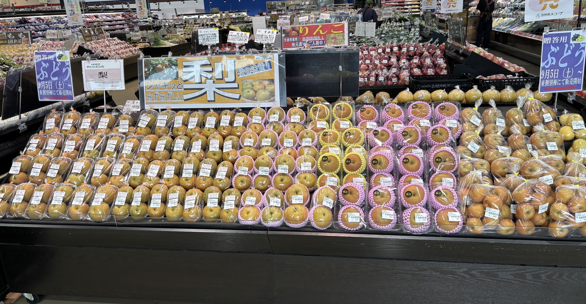 minaminagano_26.9-2