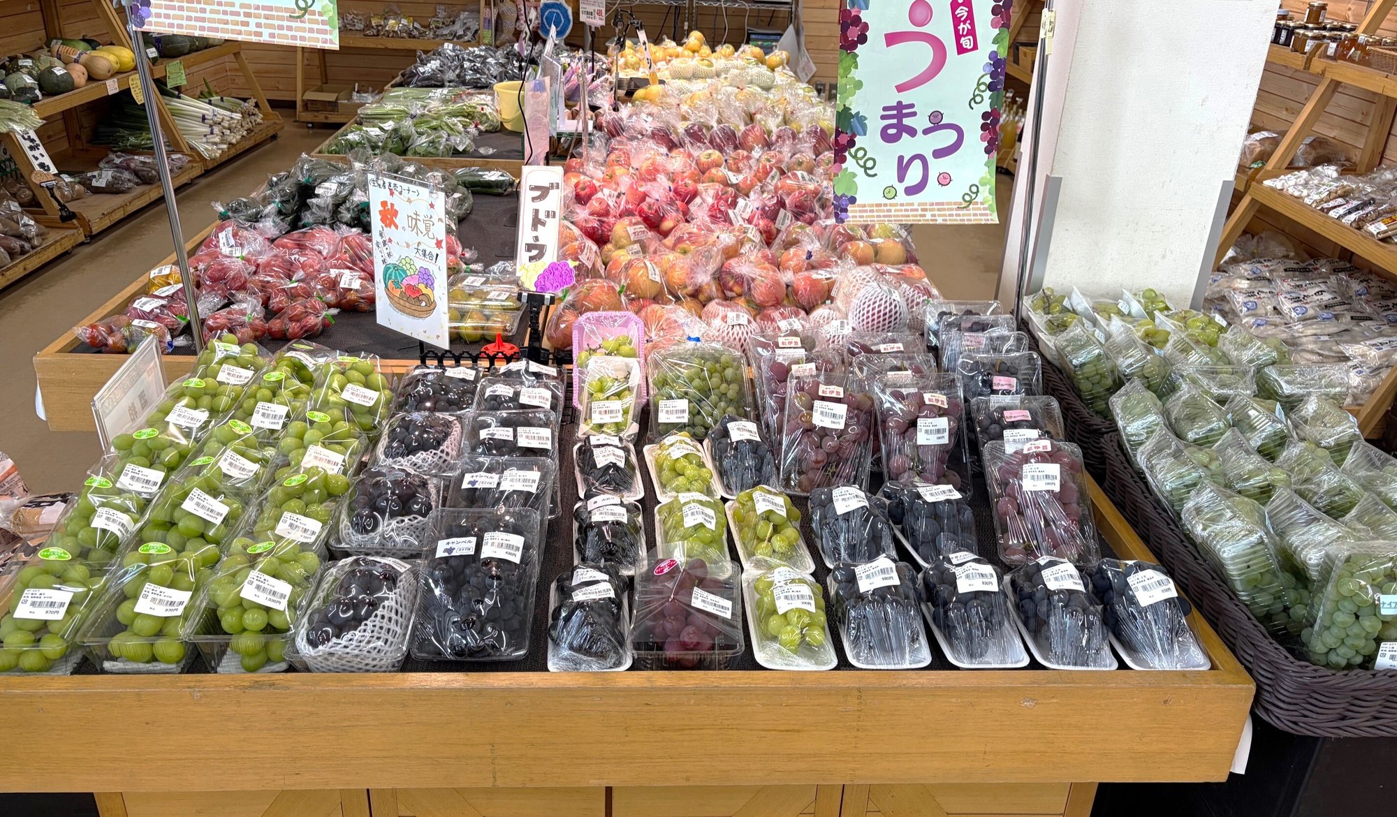 miyada_26-9.1