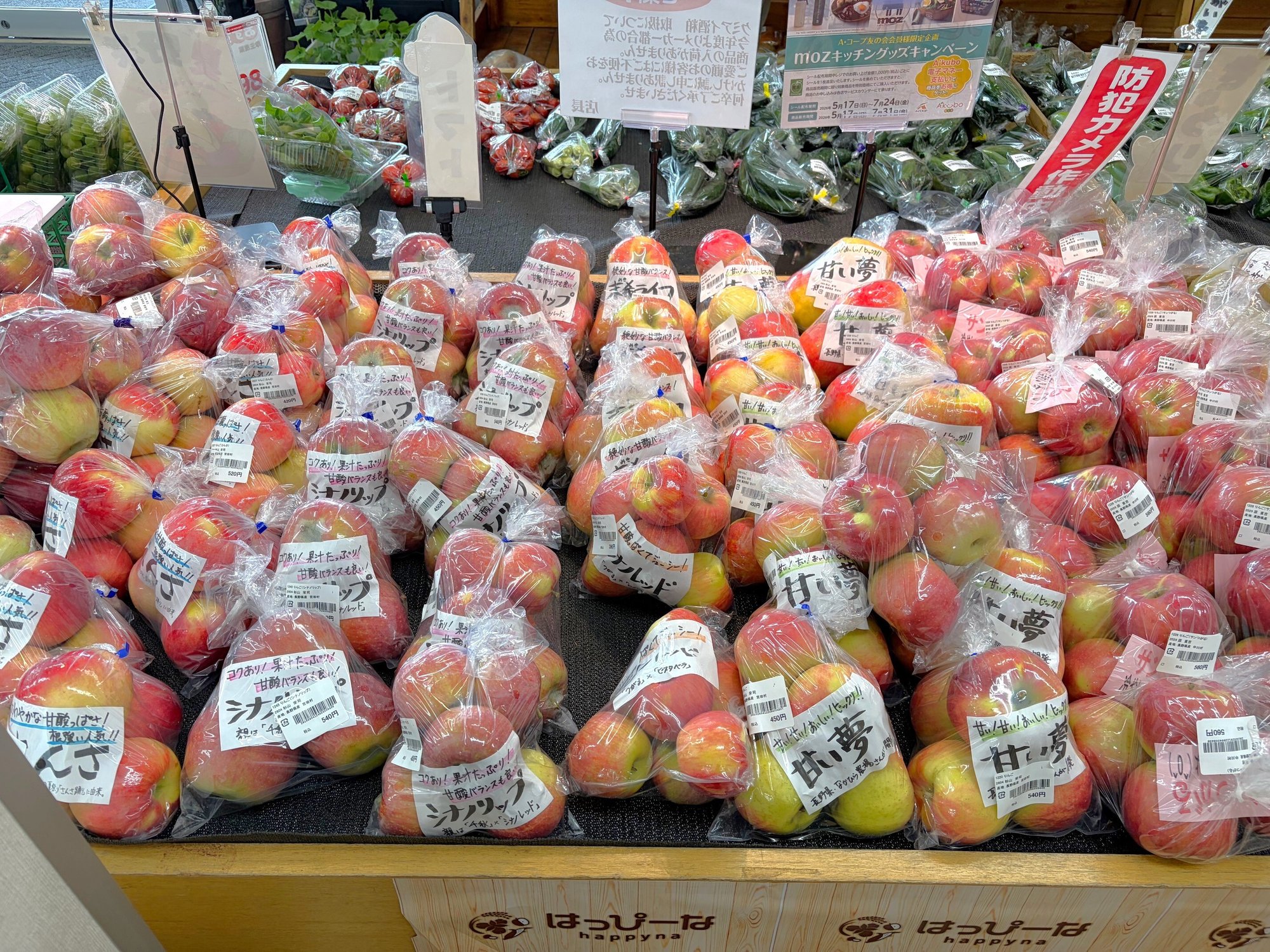 miyada_26.8-1