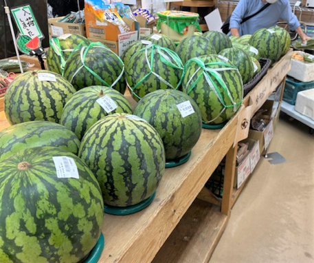 miyada_8-2